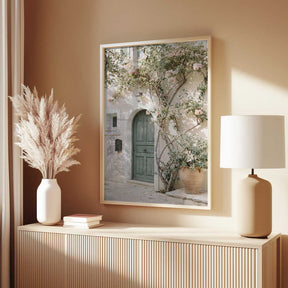 Mediterranean Door Poster