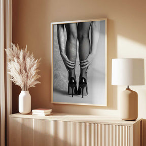 High Heels and Fishnet Stockings Poster