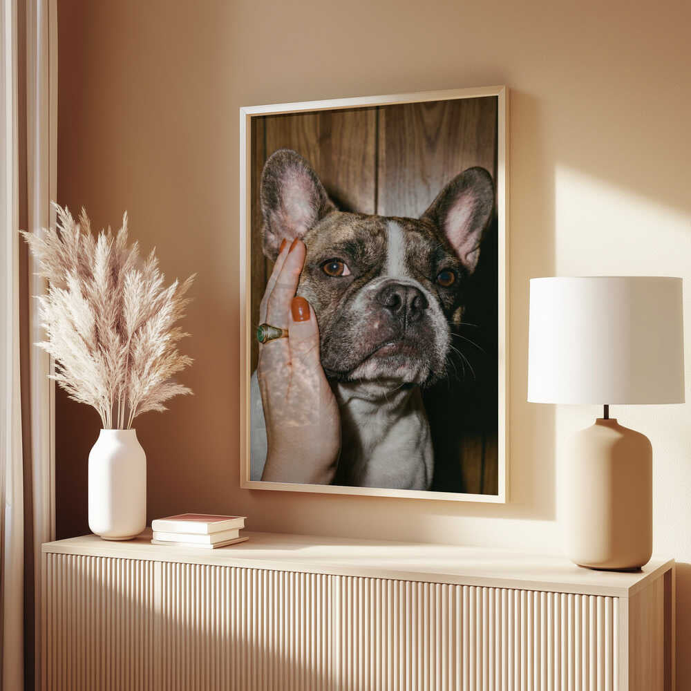 Petting a Frenchie Poster