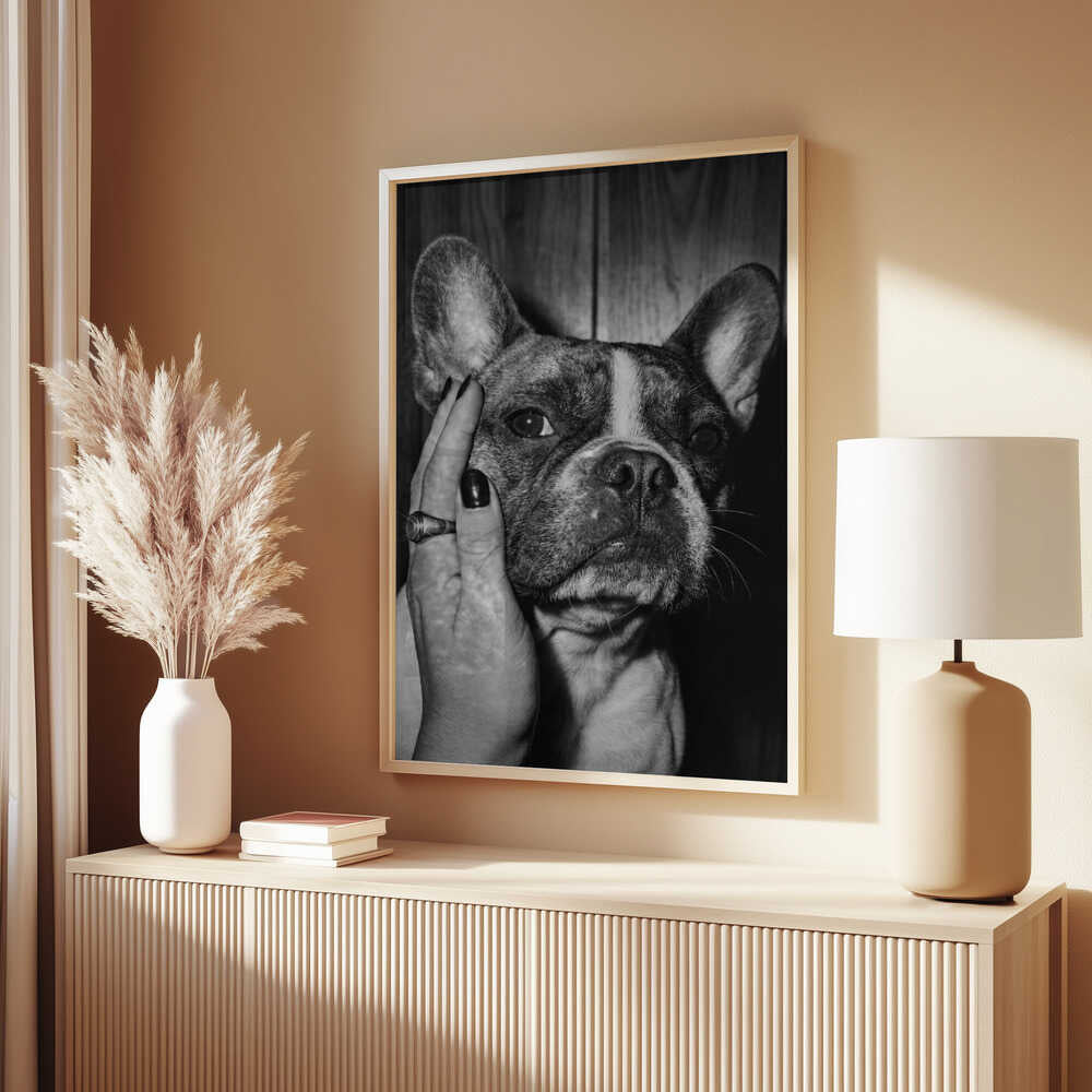 Petting a Frenchie Poster