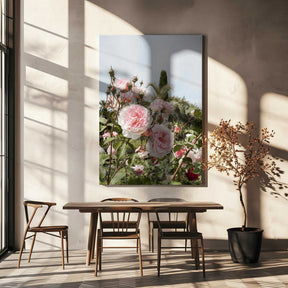 Garden Roses Poster