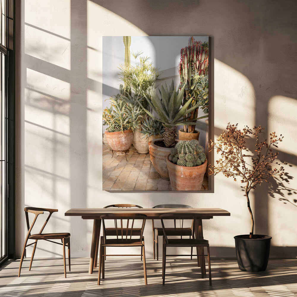 Garden with Various Potted Succulents and Cacti Poster