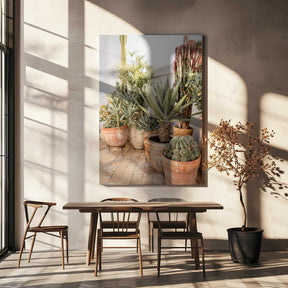 Garden with Various Potted Succulents and Cacti Poster