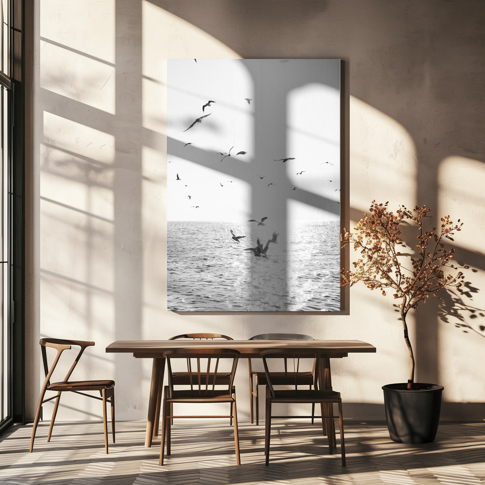 Seagulls At Sea Poster