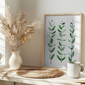 Watercolor eucalyptus parvifolia Poster