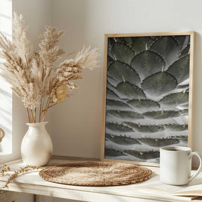 Spiral Succulent Poster