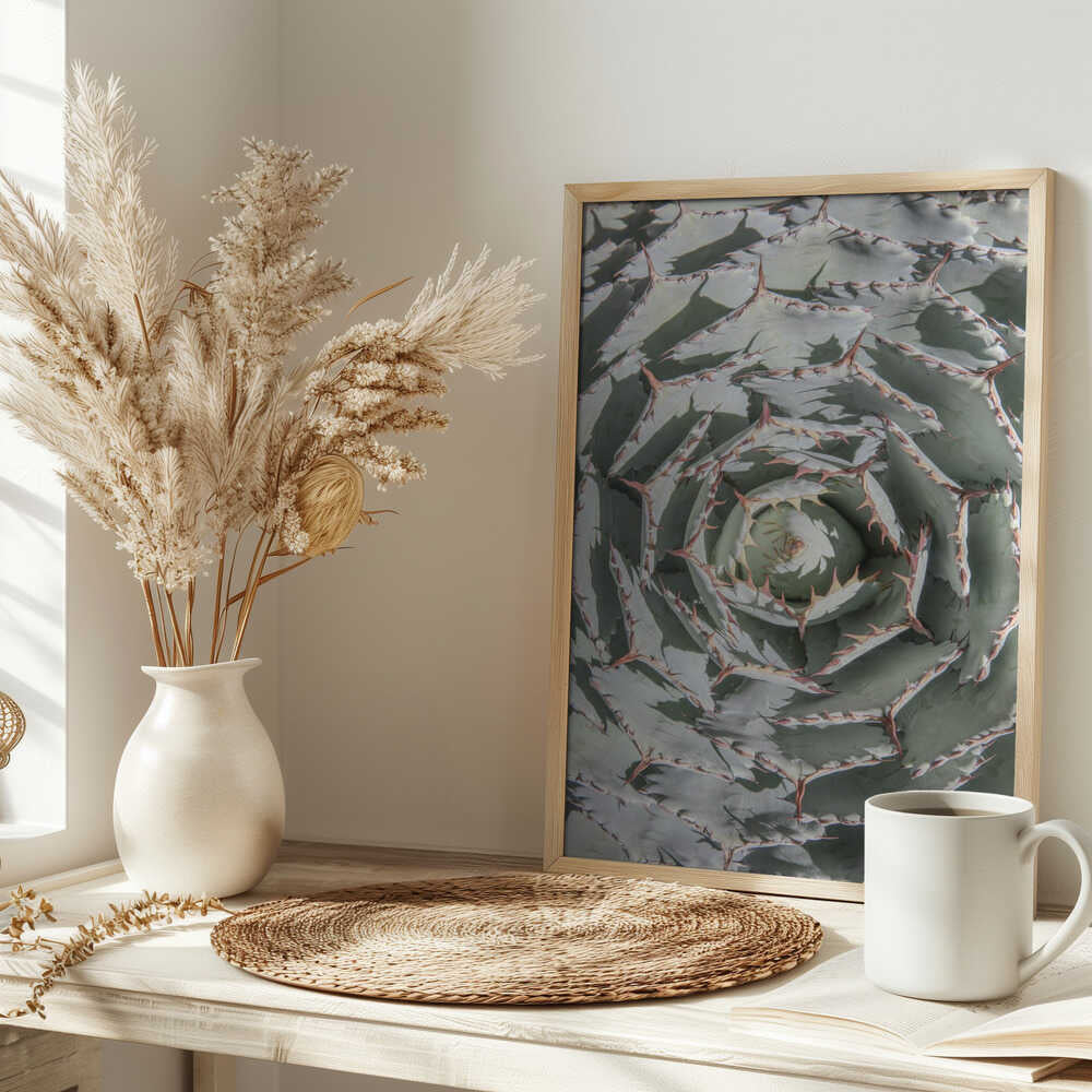 Spiral Succulent Maze Poster
