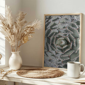 Spiral Succulent Maze Poster