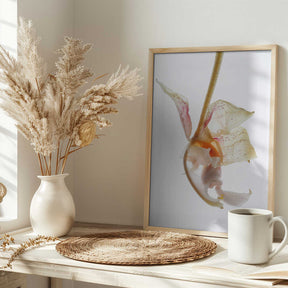 Petal Symphony Poster