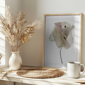 Petal Whisper Poster
