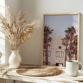 Palm Shadows Poster