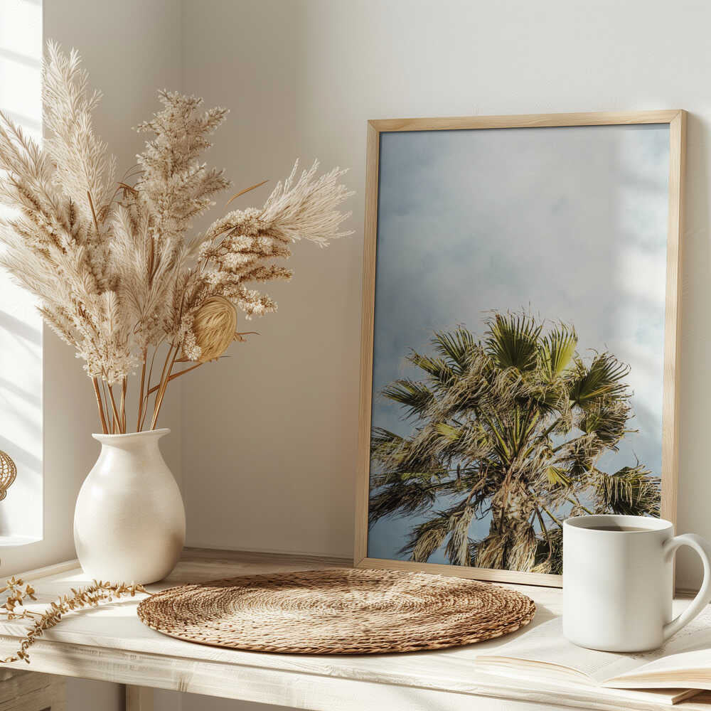 Sunlit Fronds Poster