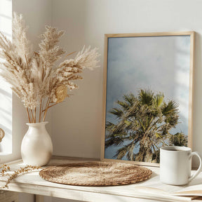 Sunlit Fronds Poster