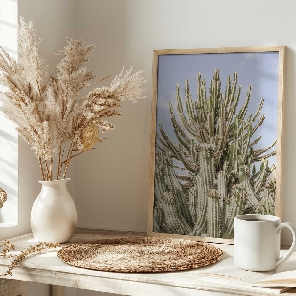 Cactus Symphony Poster