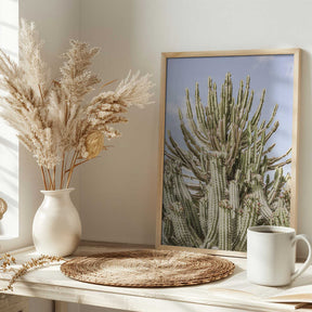 Cactus Symphony Poster