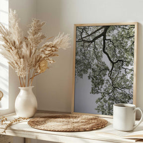 Ethereal Canopy Poster