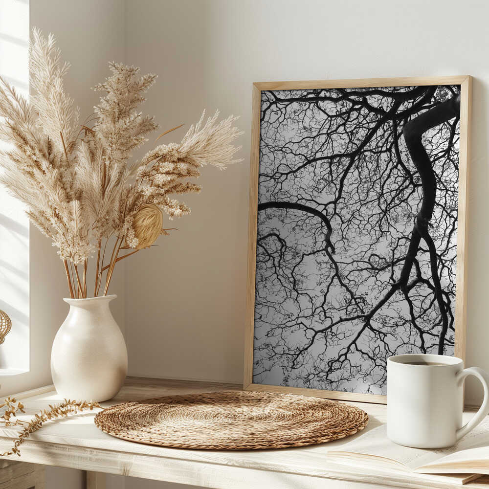 Branches' Dance Poster