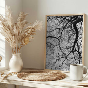 Branches' Dance Poster