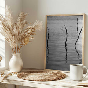 Silent Reflections Poster