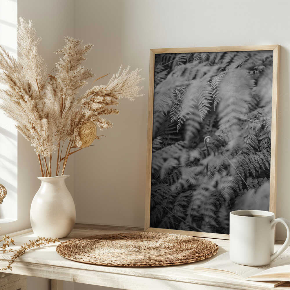 Black And White Photograph Poster
