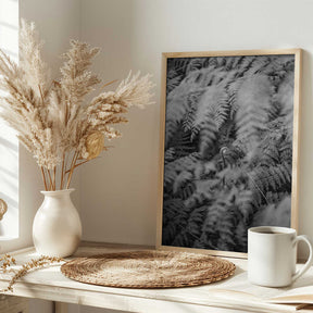 Black And White Photograph Poster