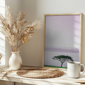 Tree By A Tranquil Lake Poster