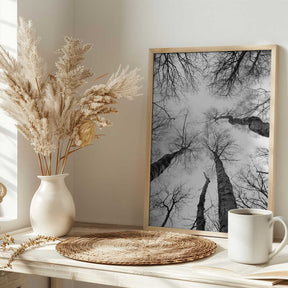 Reaching Branches Poster