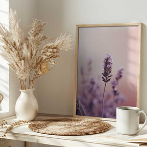 Lavender Serenity Poster