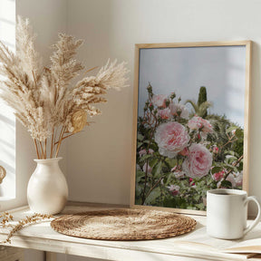Garden Roses Poster
