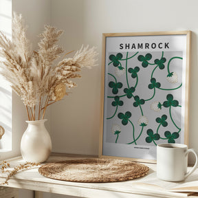 Shamrock - National flower of Ireland Poster
