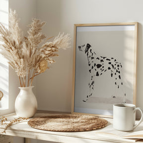 Pandc Dalmation Poster