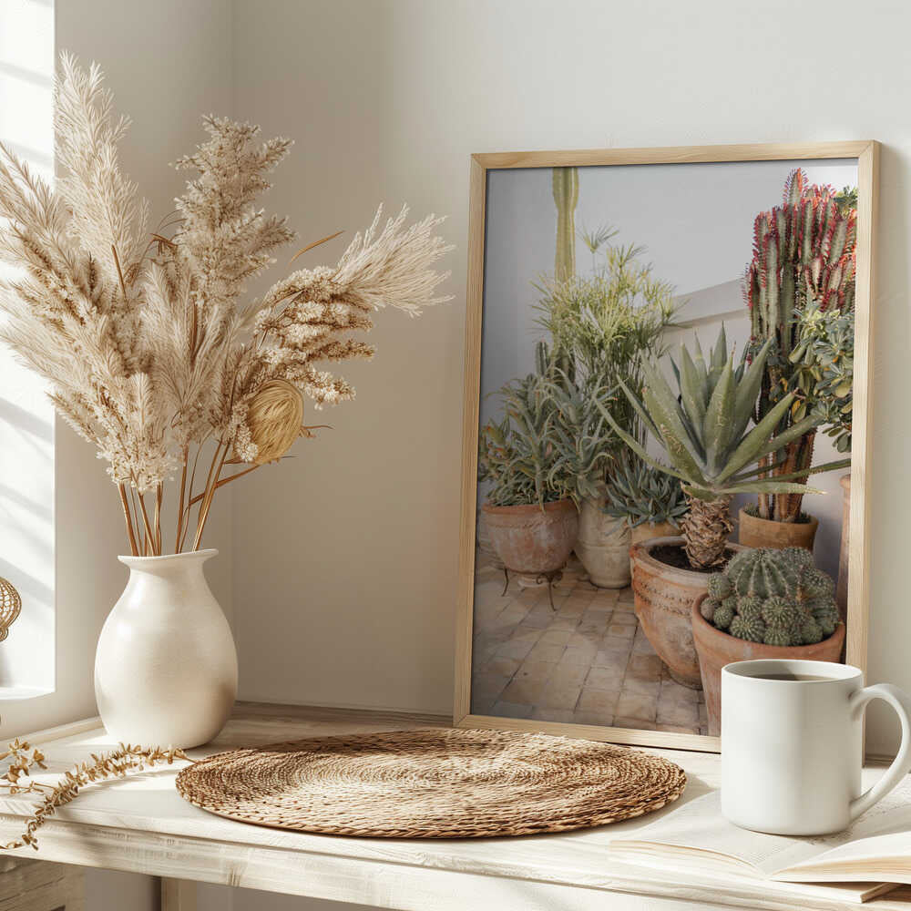 Garden with Various Potted Succulents and Cacti Poster