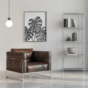 Monstera leaves in loose watercolor bw Poster