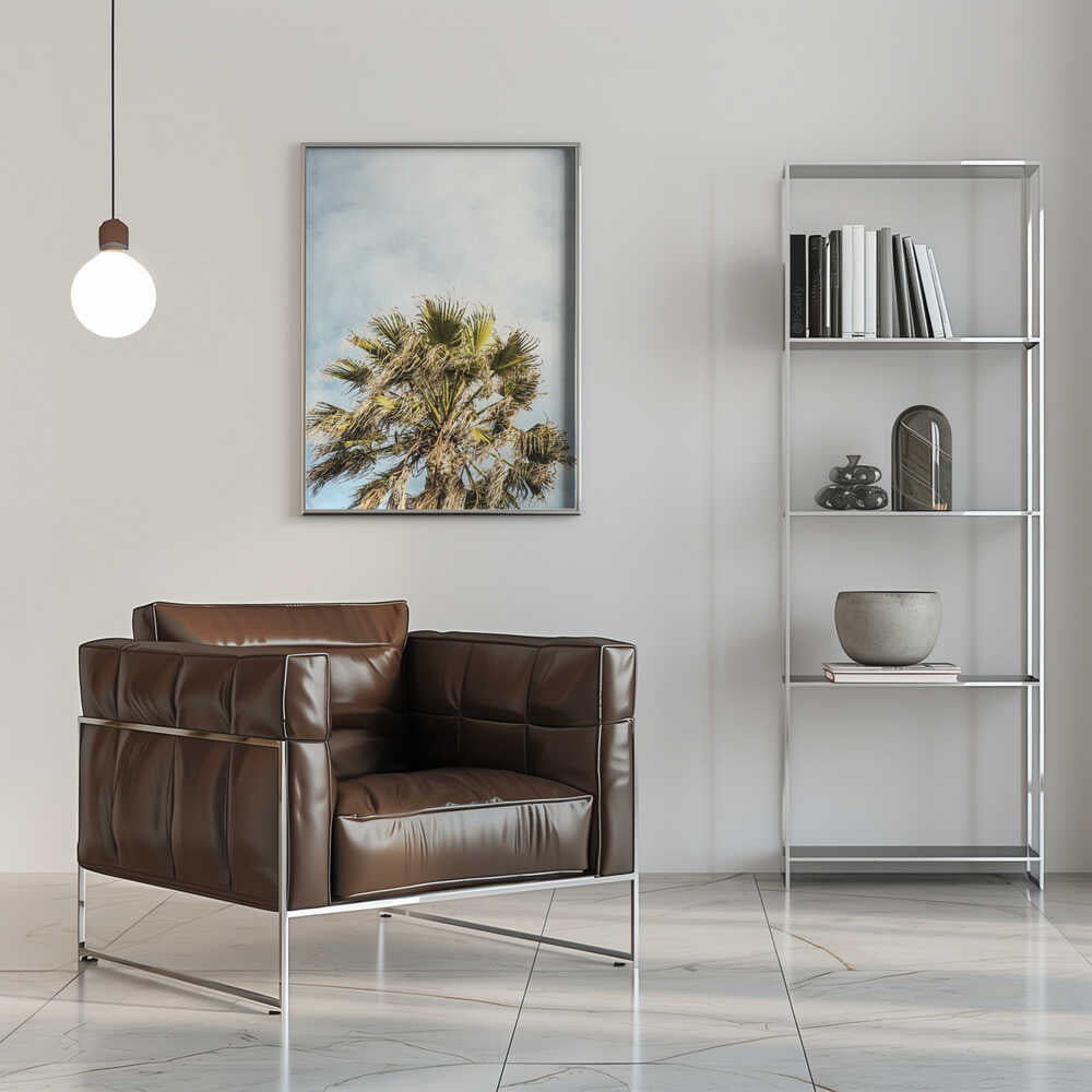 Sunlit Fronds Poster