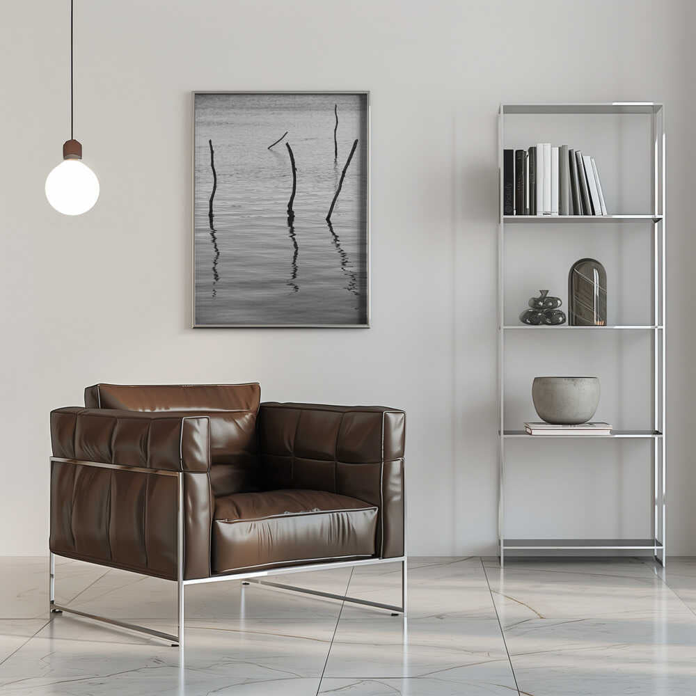 Silent Reflections Poster