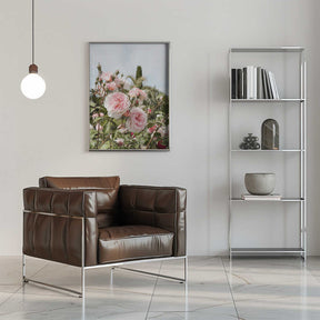Garden Roses Poster