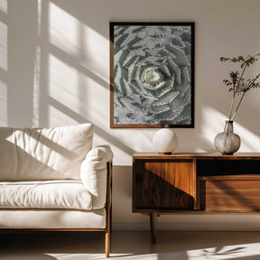 Spiral Succulent Maze Poster