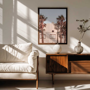 Palm Shadows Poster