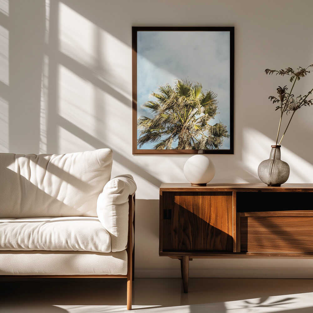 Sunlit Fronds Poster