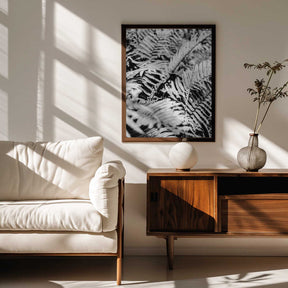 Whispering Ferns Poster