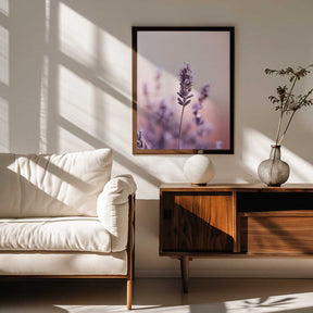 Lavender Serenity Poster