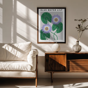 Blue Water Lily - National flower of Sri Lanka Poster