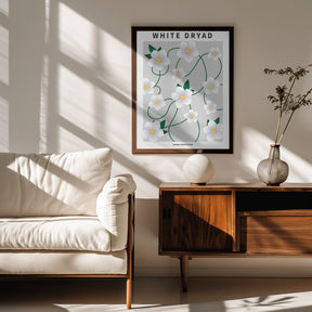 White dryad - National flower of Iceland Poster