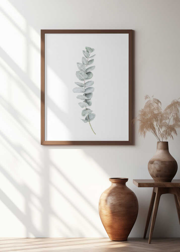 Eucalyptus II Poster