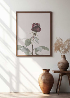 Rose Poster