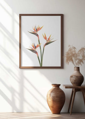 Birds of Paradise Poster