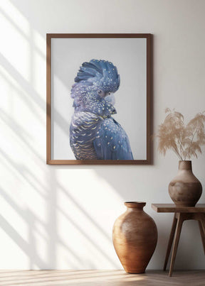 Black Cockatoo Poster