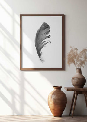 Feather Poster