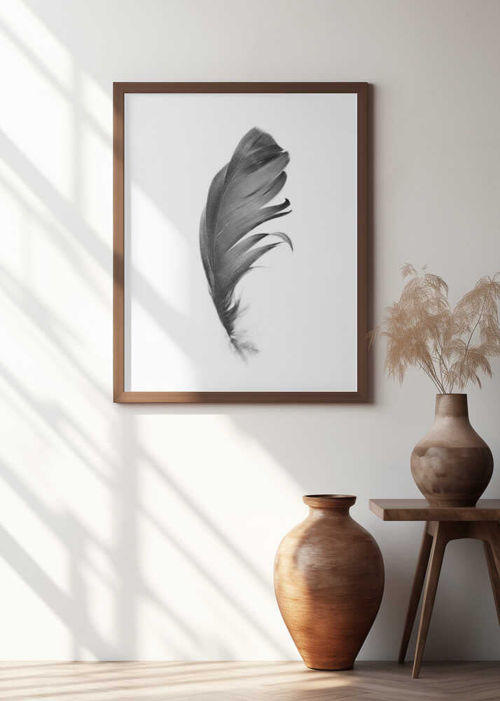 Feather Poster