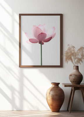 Lotus Flower Poster